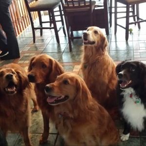 Meet your Posher, Brandon